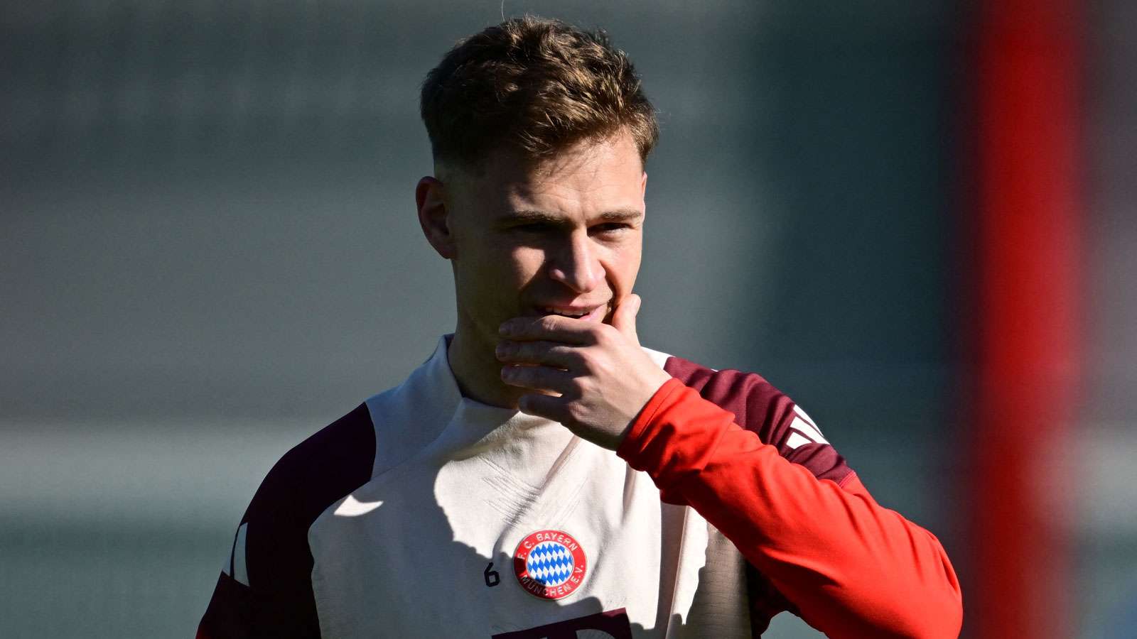 必须要进行 必须要进行